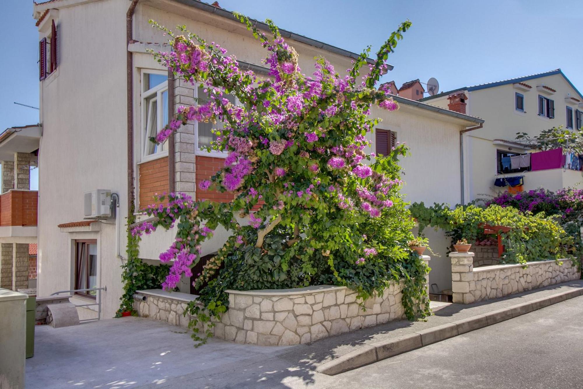Apartments Suzana Mali Lošinj Esterno foto
